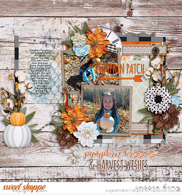 Pumpkin Patch