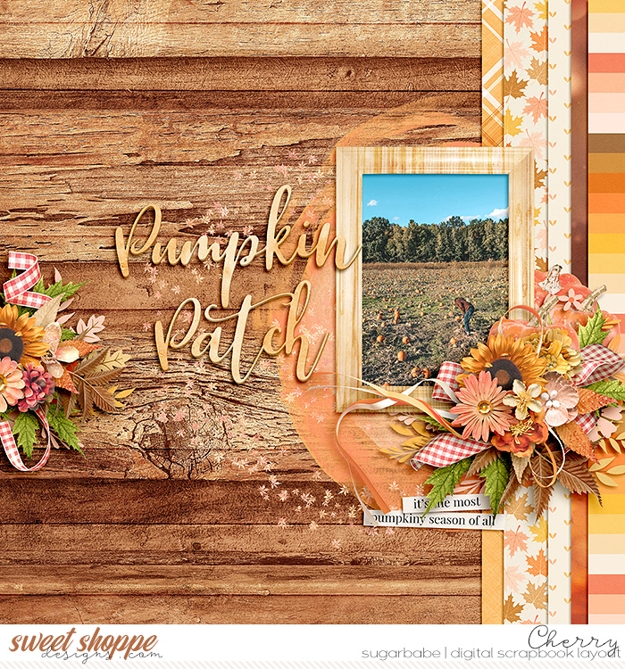 Pumpkin Patch