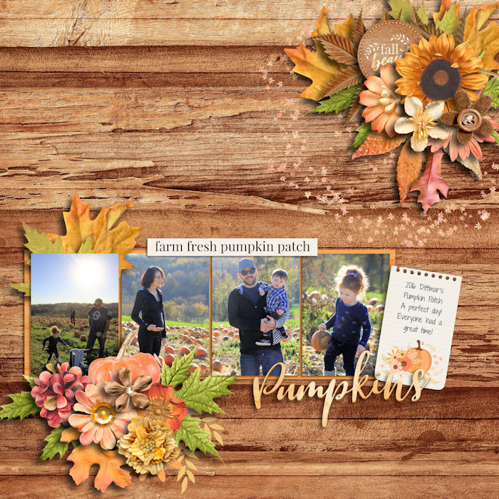 Pumpkin Patch
