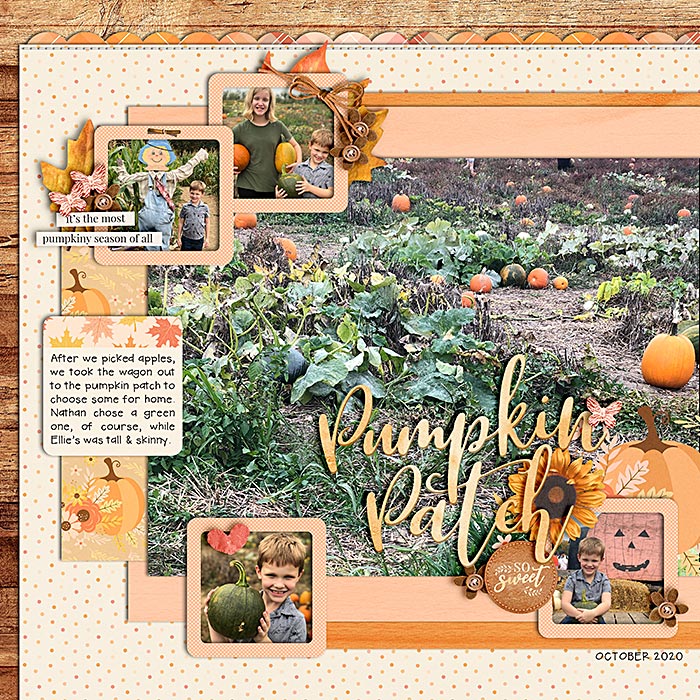 Pumpkin Patch