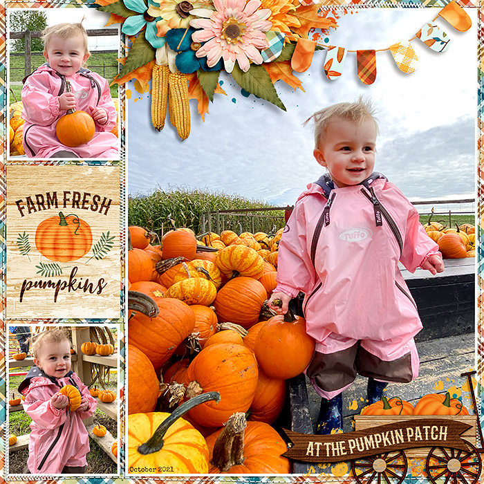 Pumpkin Patch