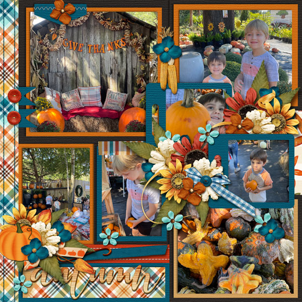 Pumpkin Patch