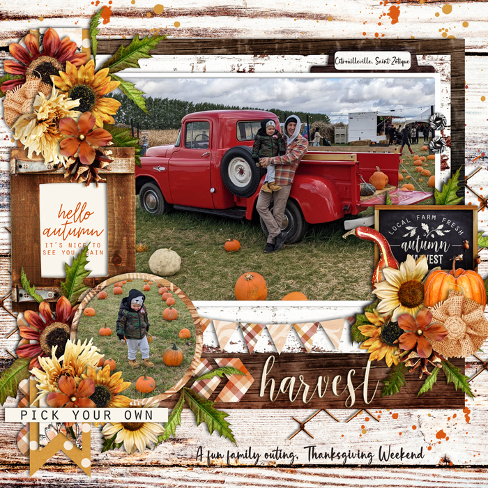 Pumpkin Patch