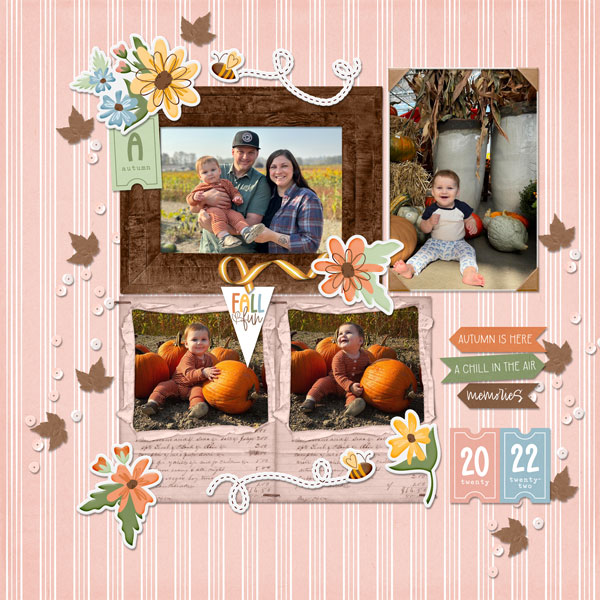 Pumpkin Patch