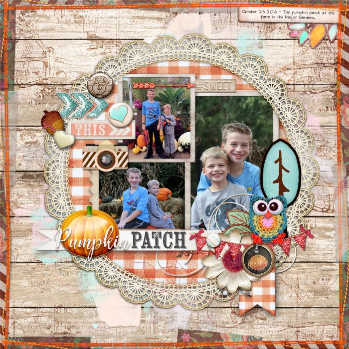 Pumpkin Patch