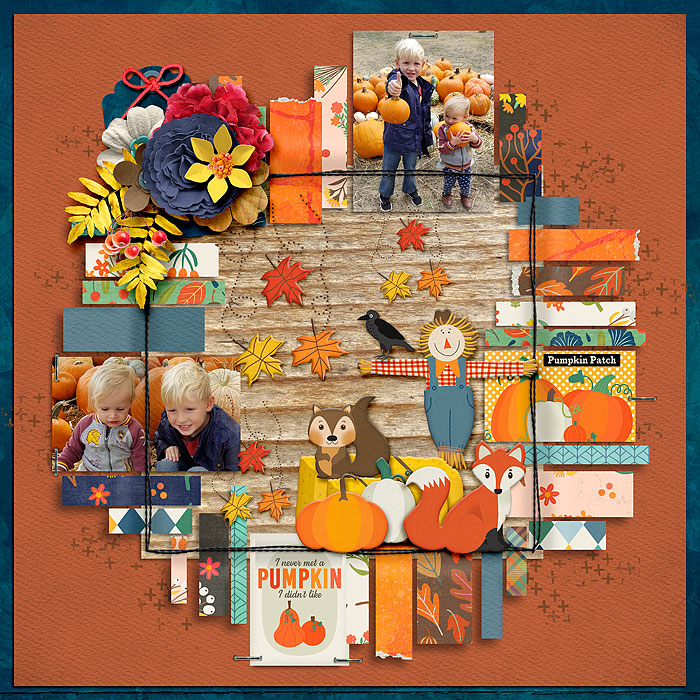 Pumpkin Patch