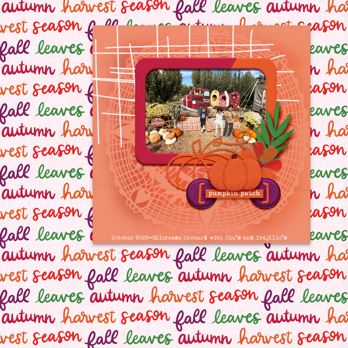 Pumpkin patch