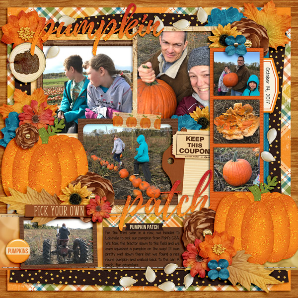 Pumpkin pick 2017