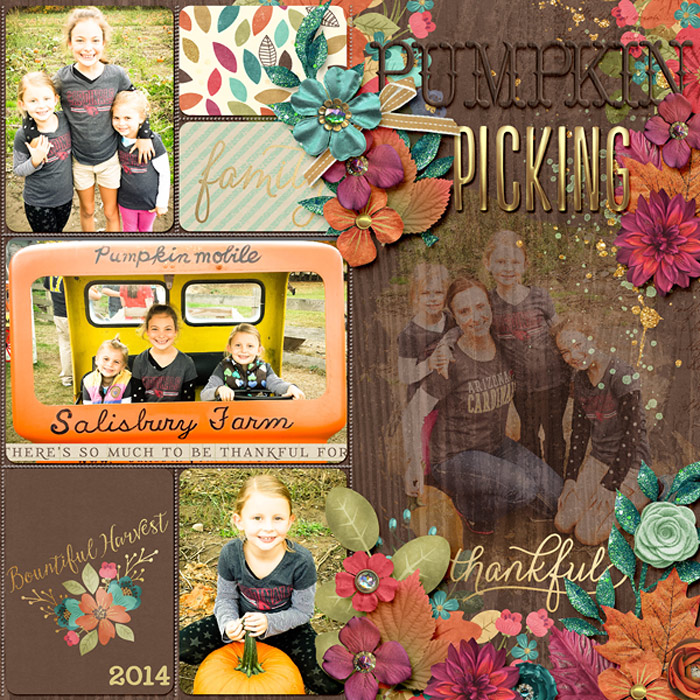 Pumpkin Picking 2014