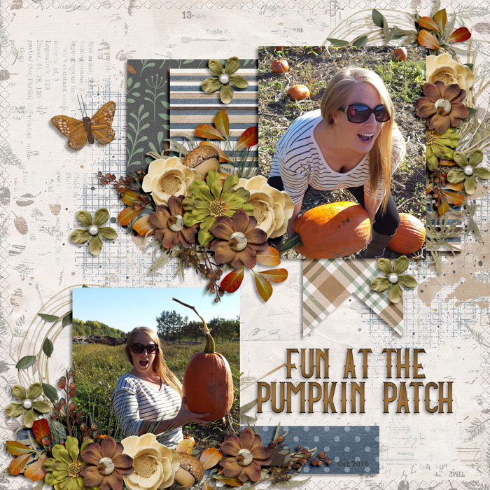 pumpkin picking