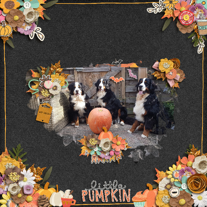 Pumpkin Spiced Everything