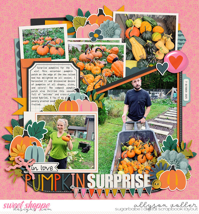 Pumpkin Surprise