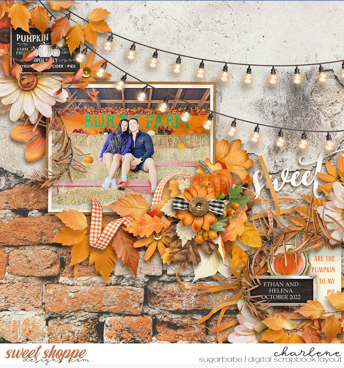 Pumpkin To My Pie