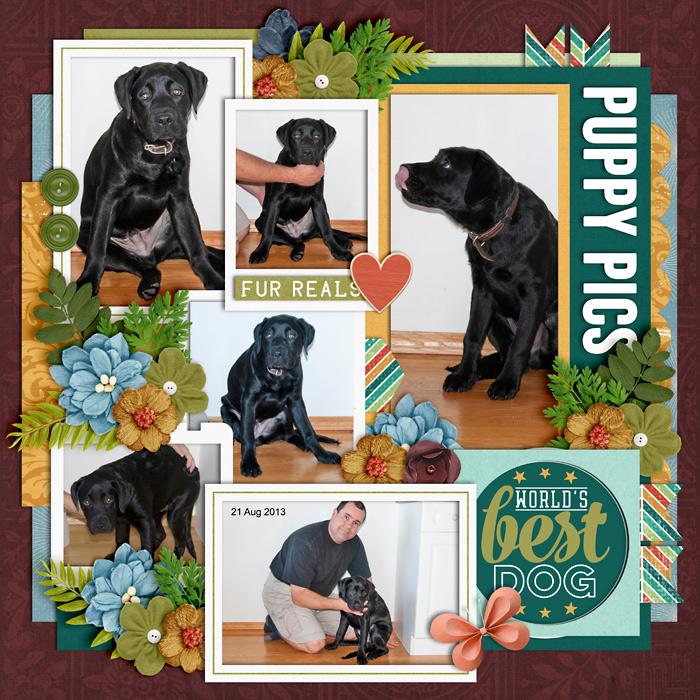Puppy Pics