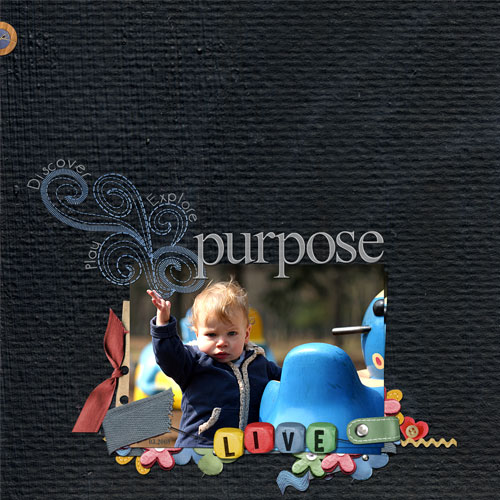 Purpose:Live