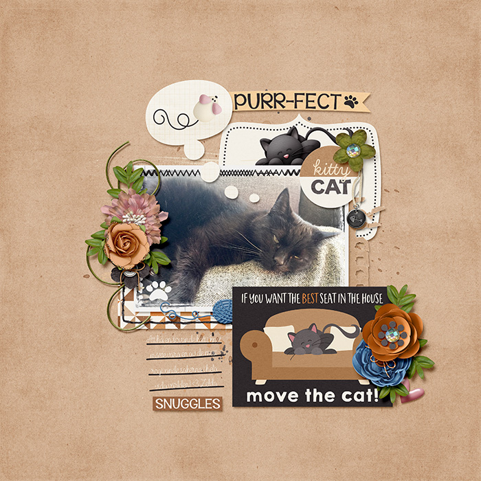 purr-fect