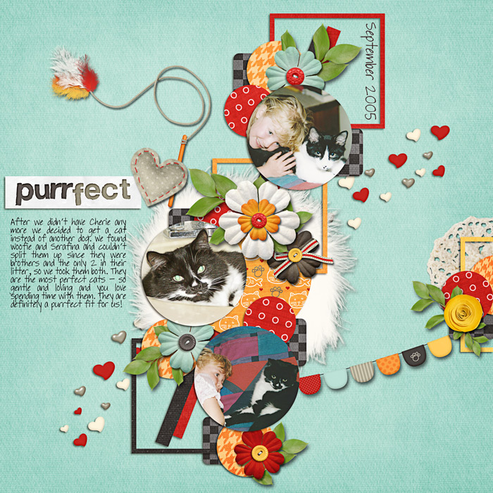 Purrfect