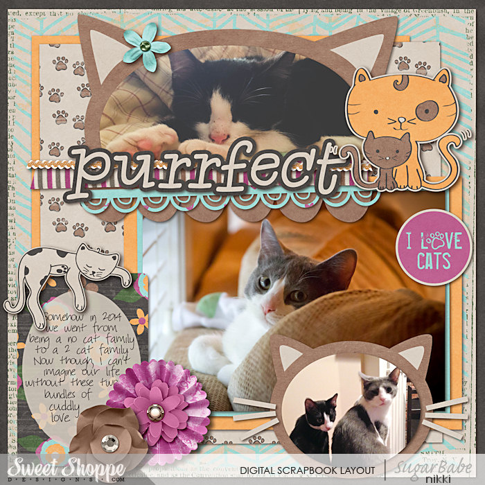 Purrrfect