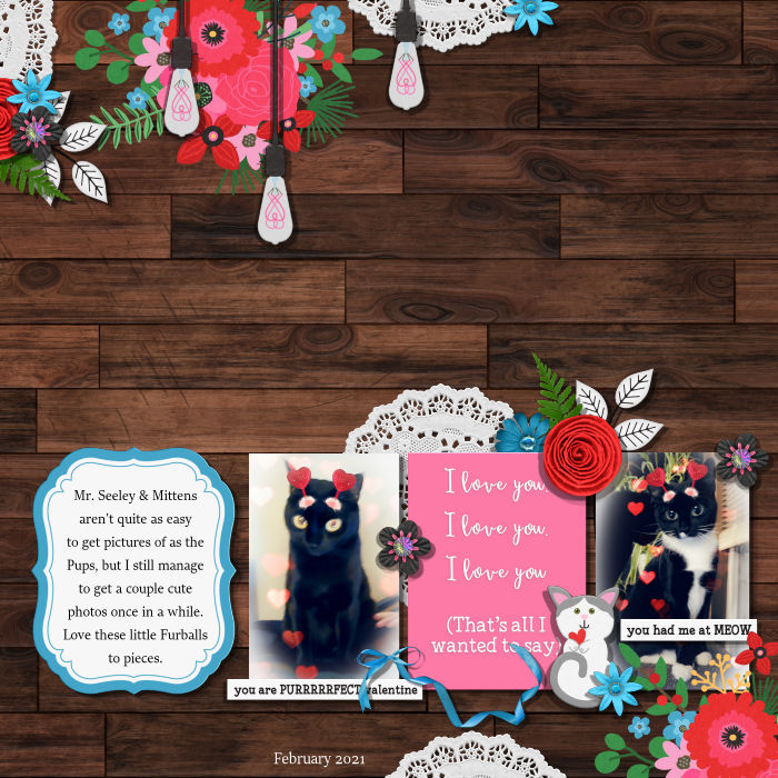 Purrrrfect Valentines