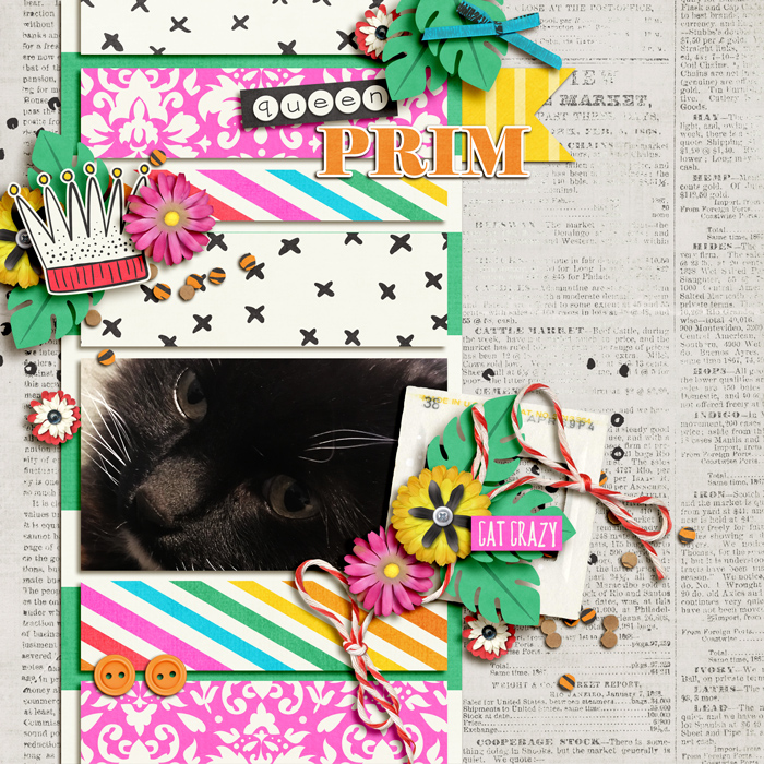 Queen Prim