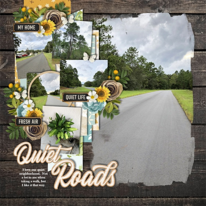 Quiet_Roads