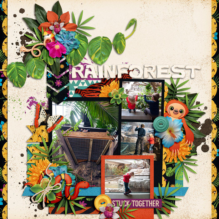 RainForest