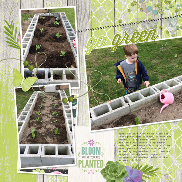 Raised Bed Garden