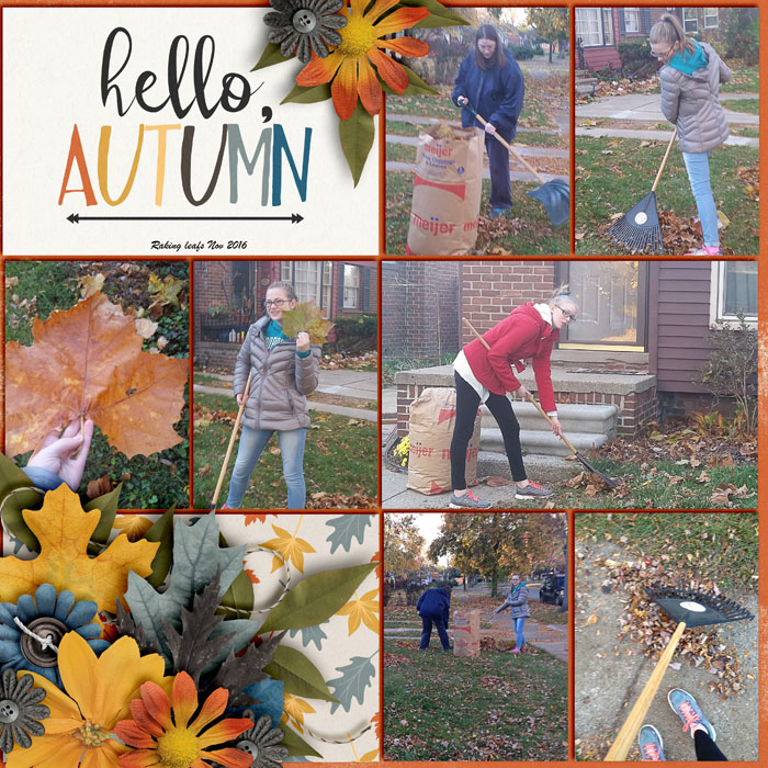 Raking Leafs