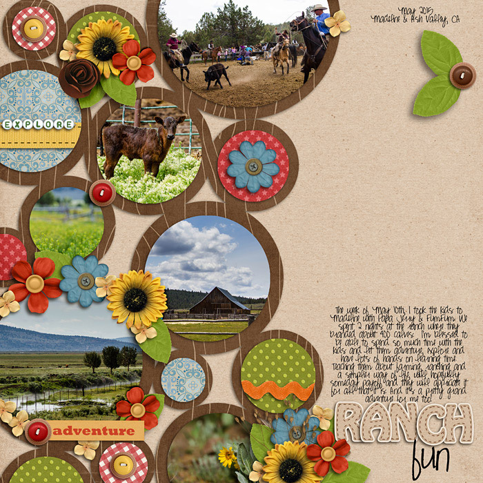 Ranch Fun
