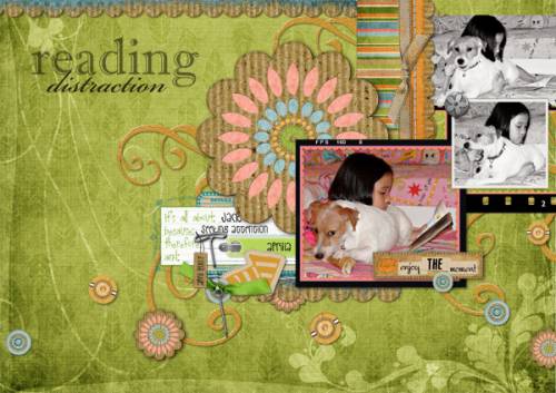 Reading Distraction