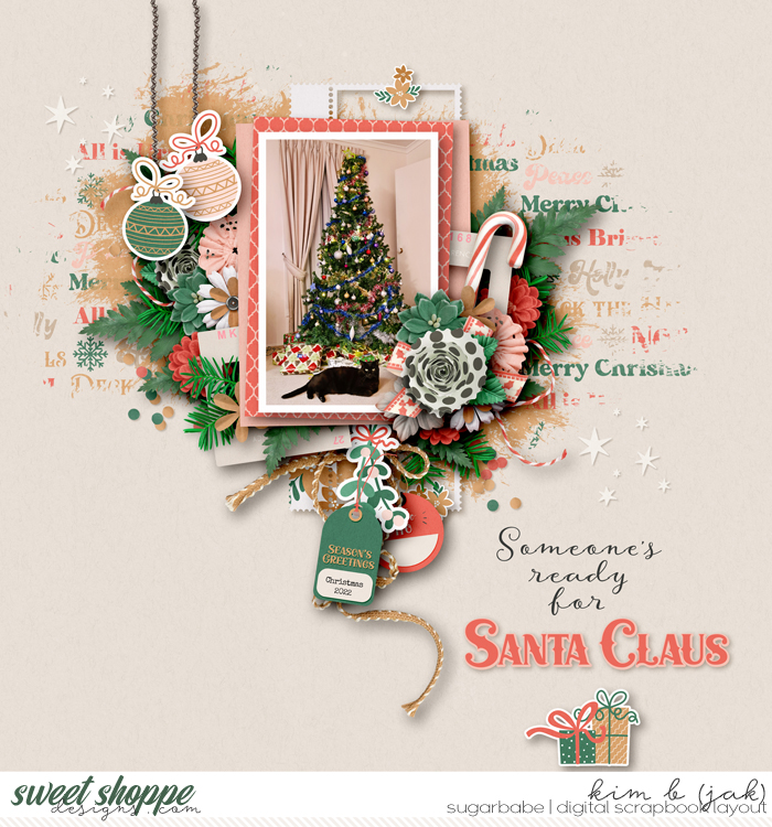 Ready for Santa