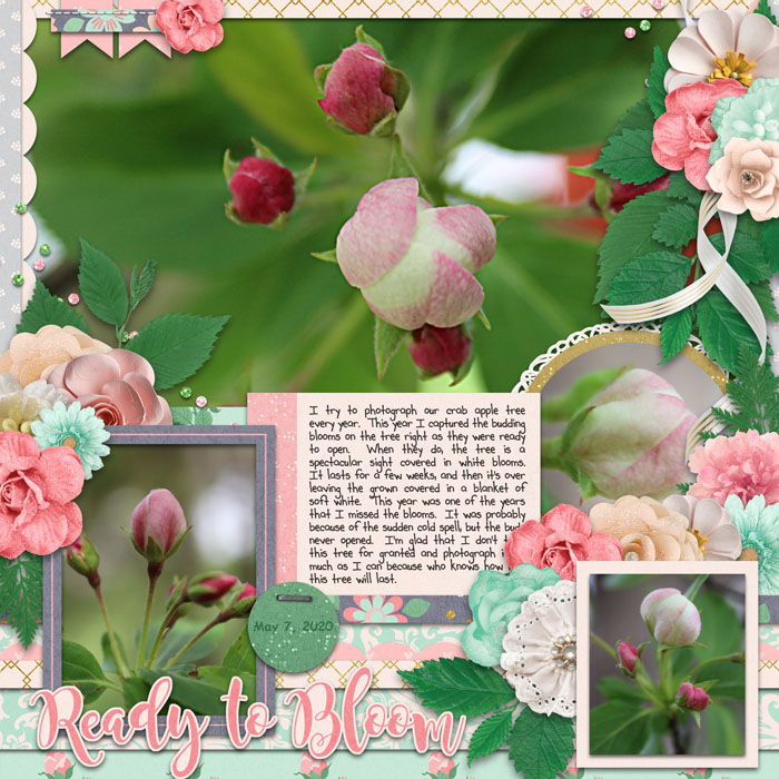 Ready to Bloom