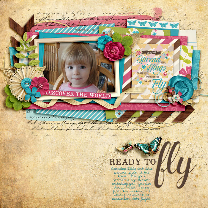 Ready To Fly