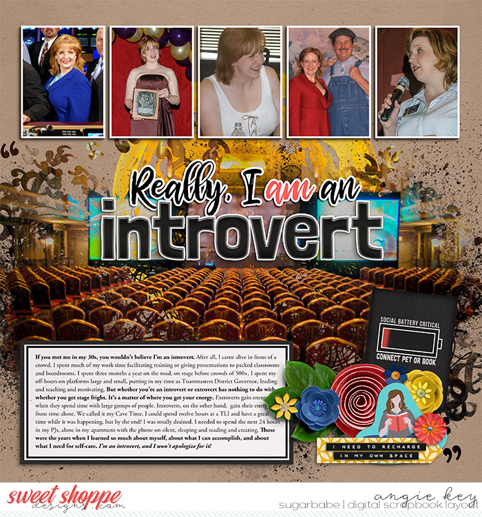 Really, I Am An Introvert