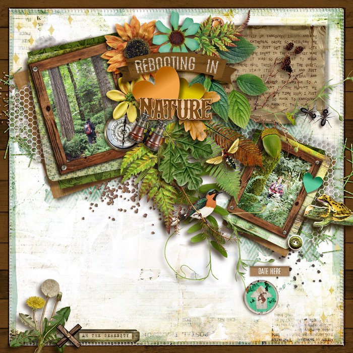 Rebooting In Nature
