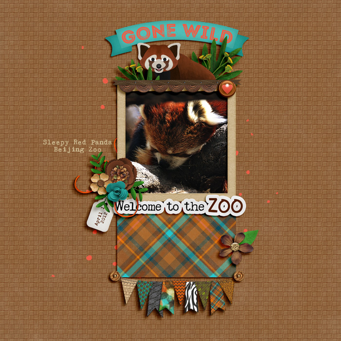 red panda