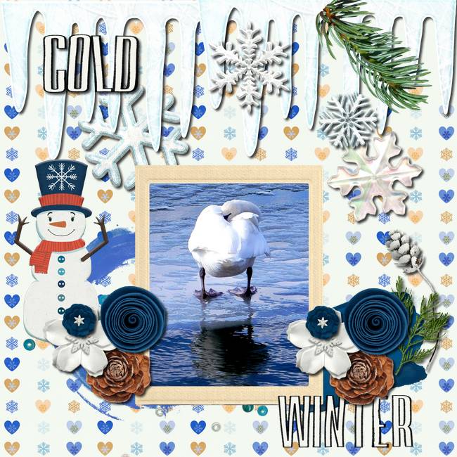 Reflections