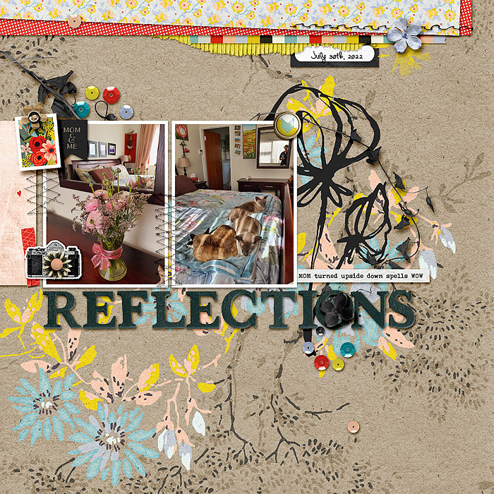 Relections