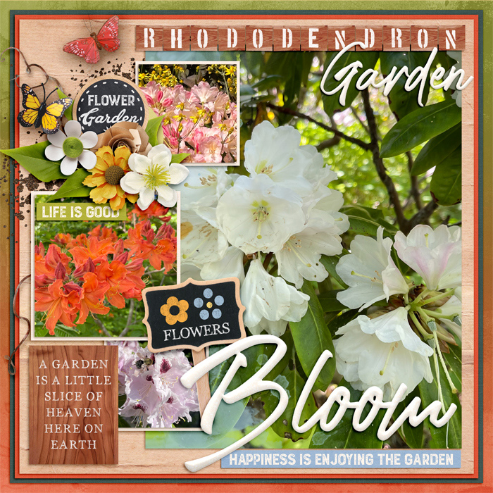 Rhododendron Garden