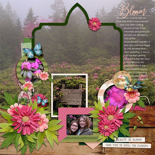 Rhododendron Garden
