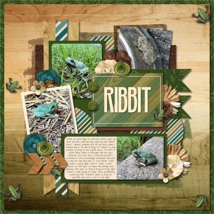 Ribbit