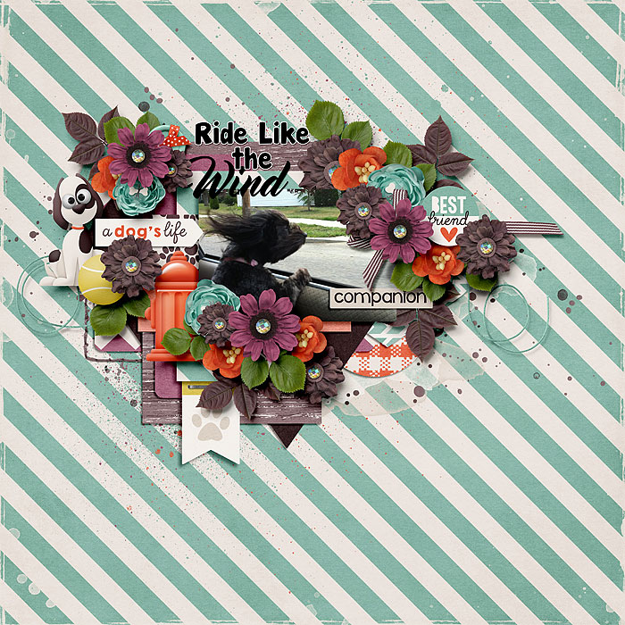 Ride Like the Wind