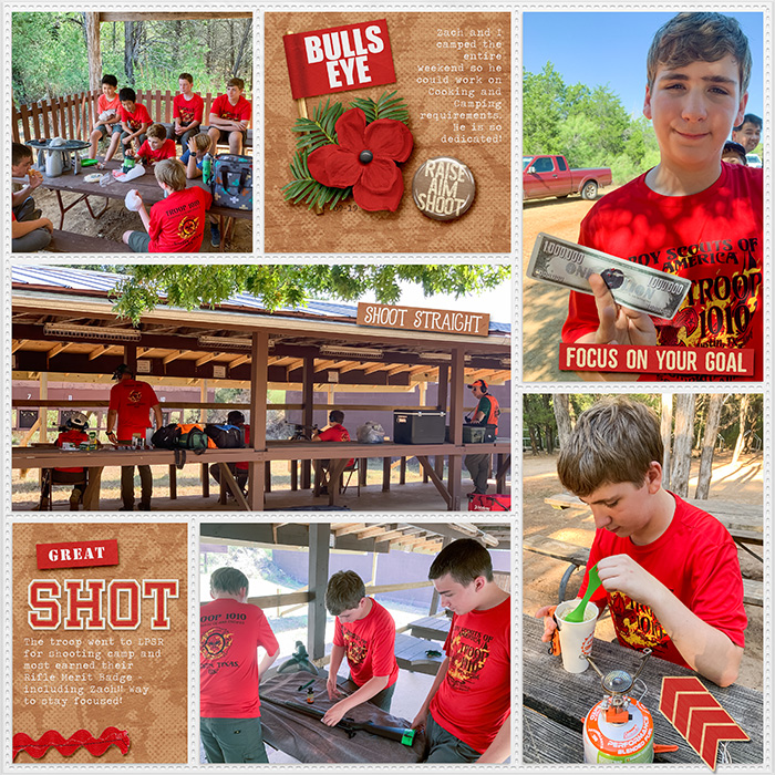 Rifle Merit Badge