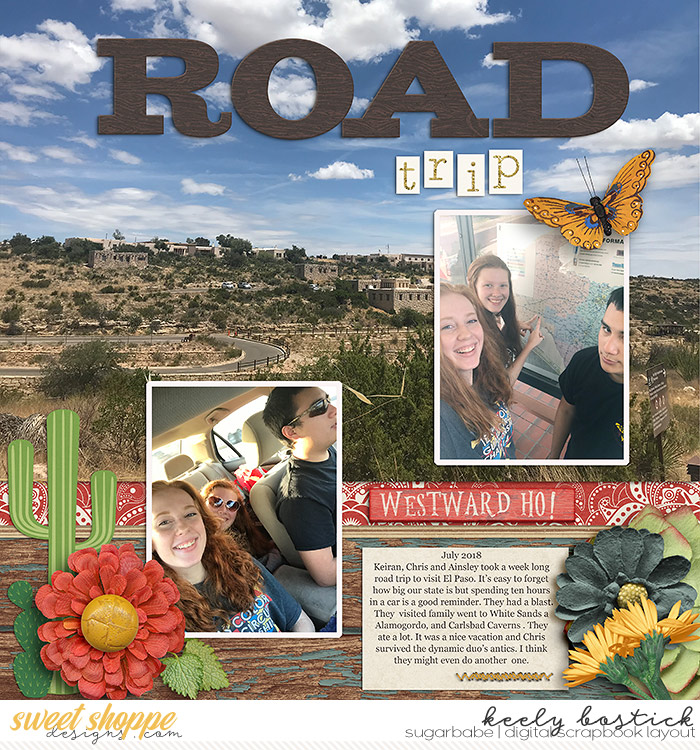 Road Trip
