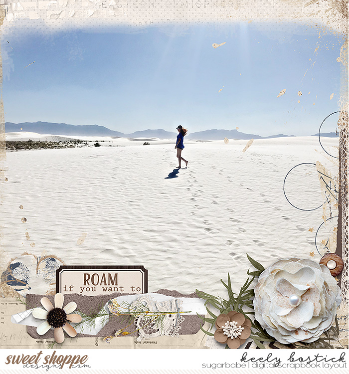 Roam