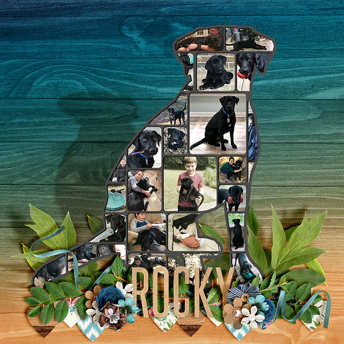 Rocky