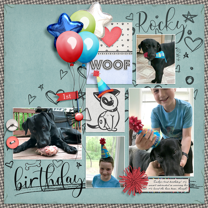 Rocky's Birthday