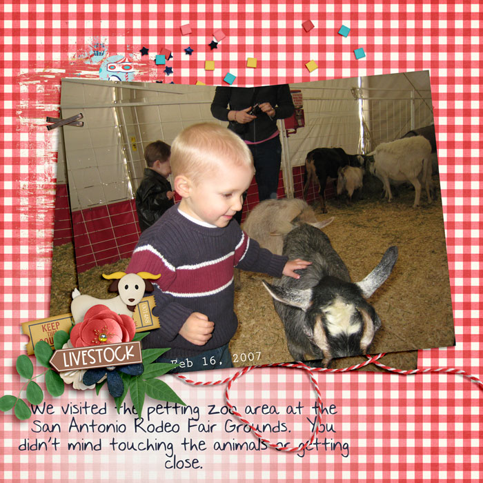 Rodeo Petting Zoo 2007