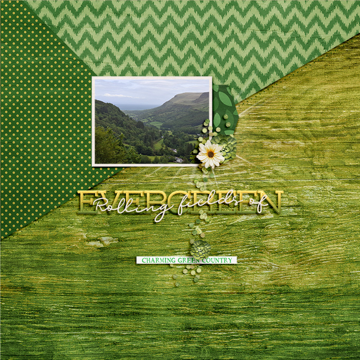 Rolling Fields of Evergreen