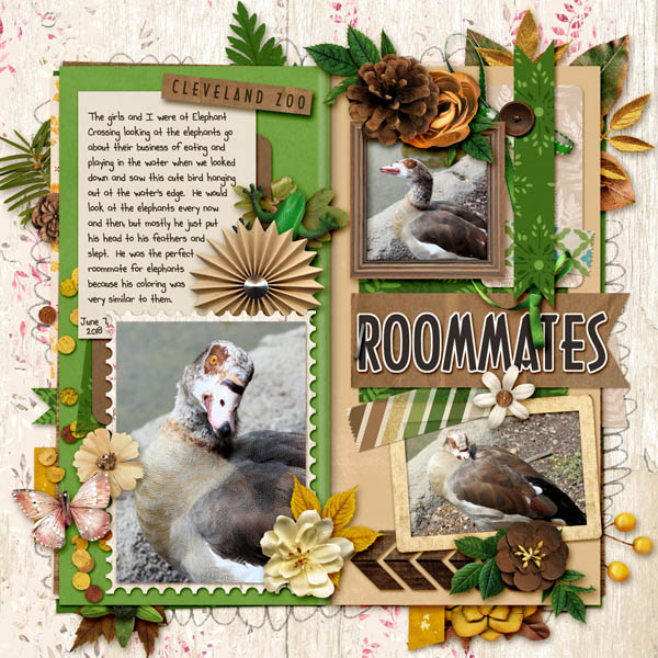 Roommates